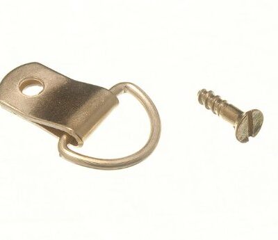 SINGLE D RING PICTURE HOOK EB FINISH INC SCREWS
