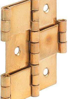 Two Way Brass Door Hinge 60mm Works in Both Directions