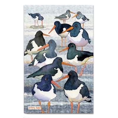 Emma Ball Oystercatchers Tea Towel – Coastal Birds Cotton Design