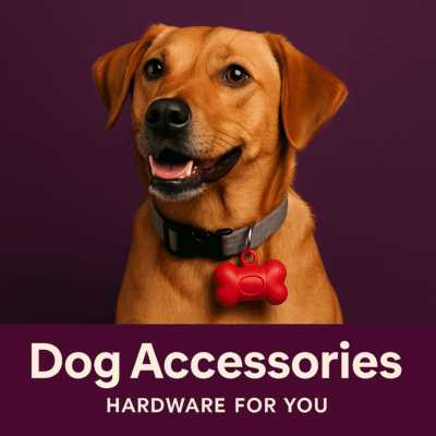 Dog Accessories – Comfortable & Practical Items for Your Dog